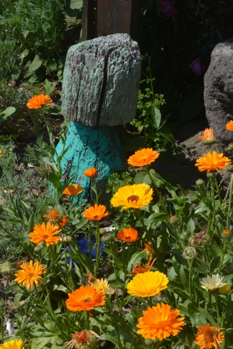 nautical objects in a residential garden